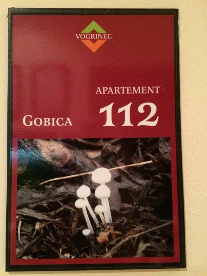 Apartments-Rooms Vogrinec พทุย ภายนอก รูปภาพ